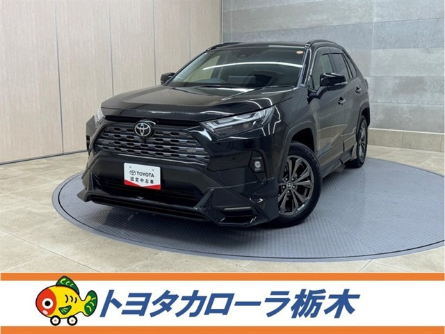 RAV4 2.5 ハイブリッド G E-Four 4WD （6AA-AXAH54）