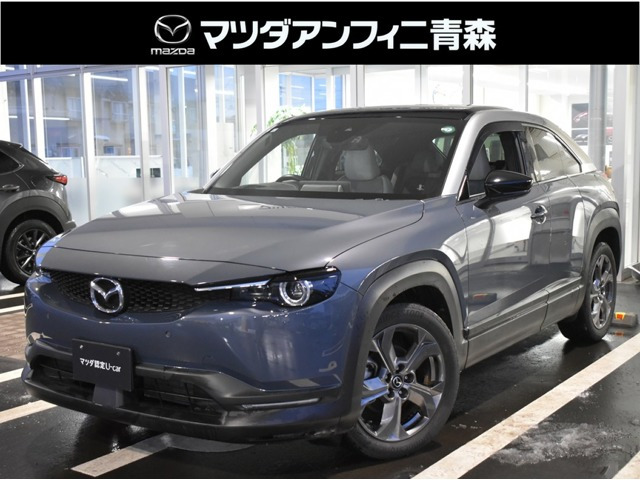 MX-302.0 モダン コンフィデンス