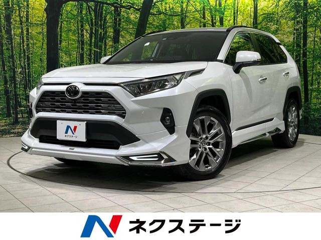 RAV4 2.0 G Zパッケージ 4WD （6BA-MXAA54）