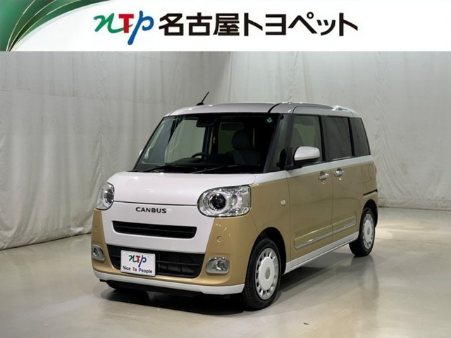 ムーヴキャンバス  ストライプス G