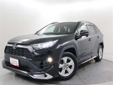 RAV4 2.0 X 
