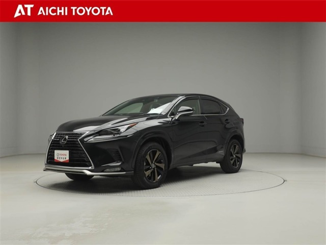 NX 300h スパイス&シック