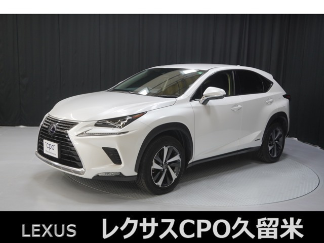 NX 300h Iパッケージ