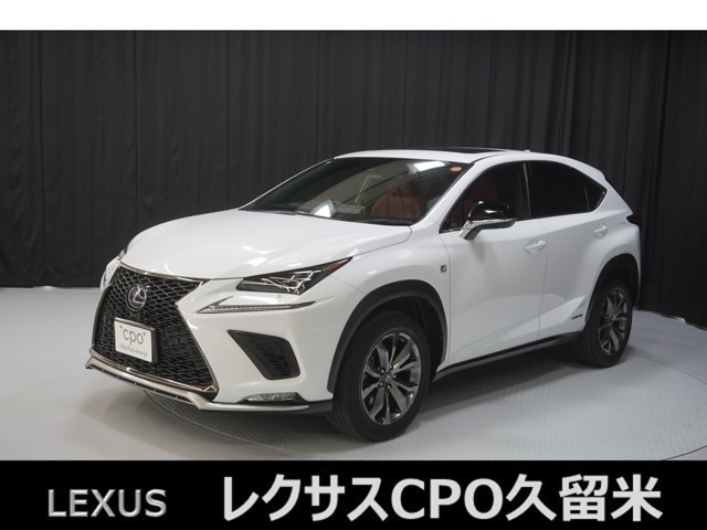 NX 300h Fスポーツ 