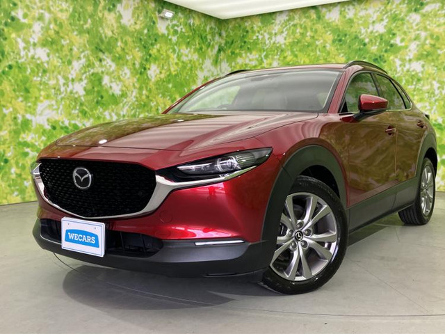 CX-301.8 XD Lパッケージ