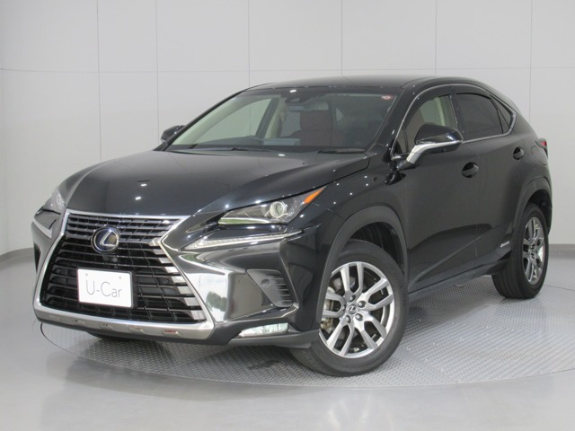 NX 300h （DAA-AYZ10）