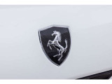 カーボン・スクーデリアフェラーリフェンダーシールドエンブレム