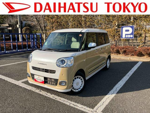 ムーヴキャンバス  ストライプス G