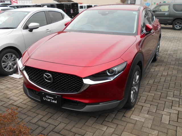 CX-30 2.0 20S プロアクティブ 