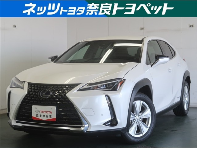 UX 250h バージョンC 