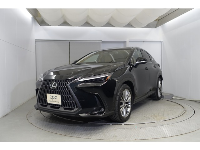NX 250 バージョンL NX 250 バージョンL