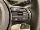 クルーズコントロールを装備しています。高速道路などで一定の速度で走ってくれるので運転が楽ですよ!速度を設定できますので、スピードの出しすぎにも注意できます。