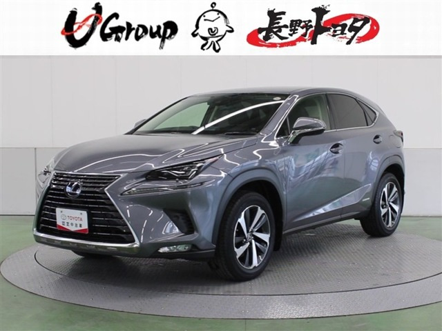 NX 300h バージョンL 4WD 