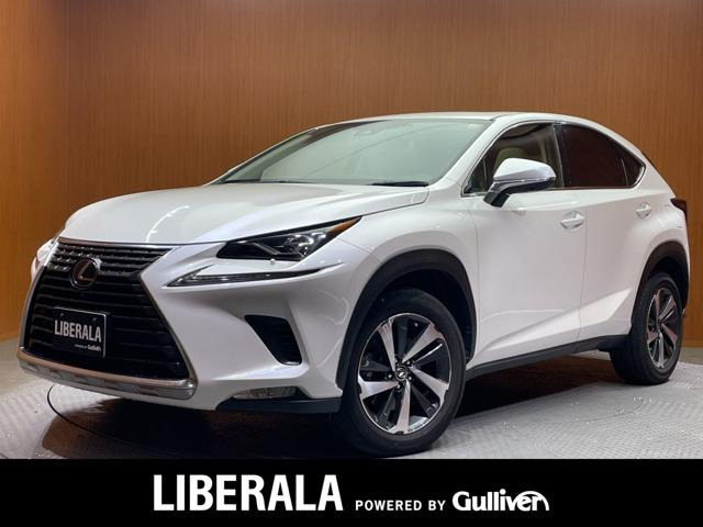 NX300 Iパッケージ本革シート サンルーフ