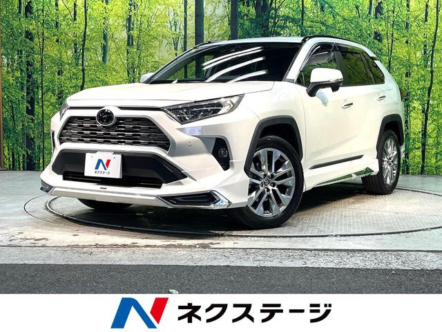 RAV4 2.0 G Zパッケージ 4WD （6BA-MXAA54）