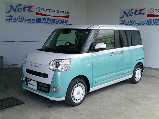 ムーヴキャンバス  ストライプス G