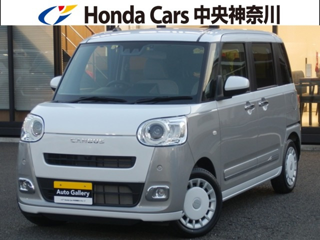 ムーヴキャンバス ストライプス G