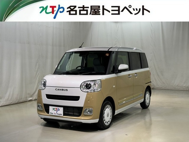 ムーヴキャンバス  ストライプス G