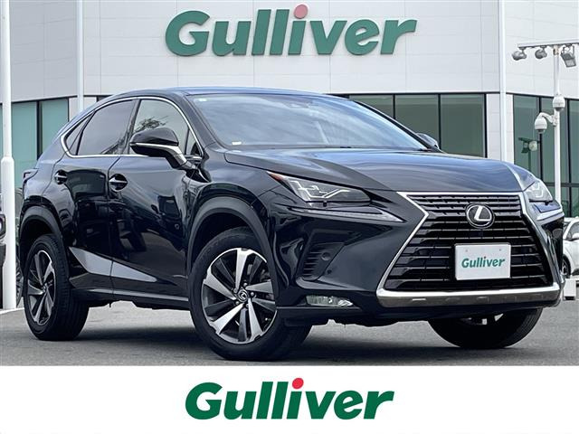 NX300 Iパッケージワンオーナー 修復歴無し