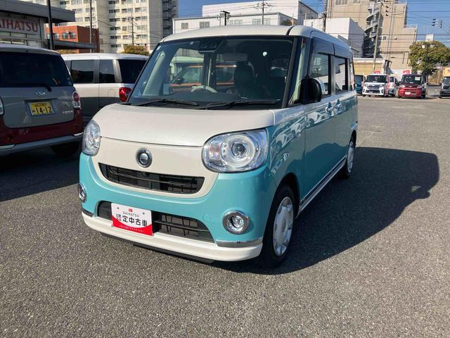 ムーヴキャンバス G メイクアップ リミテッド SAIII 