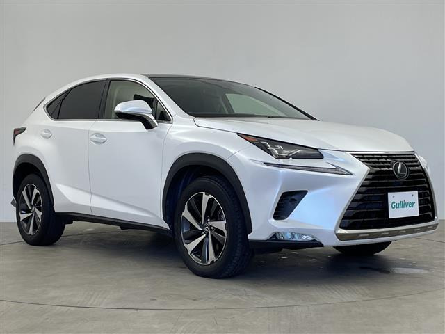 NX300 Iパッケージ本革シート サンルーフ