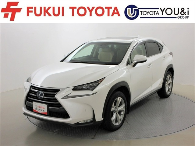 NX 300h バージョンL 