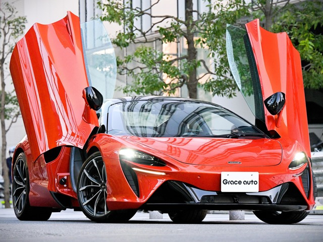 アルトゥーラ  3.0 エリ-トペイント(有償色)/グロスブラックル