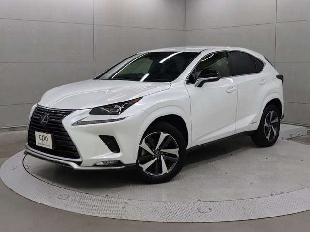 NX 300h スパイス&シック