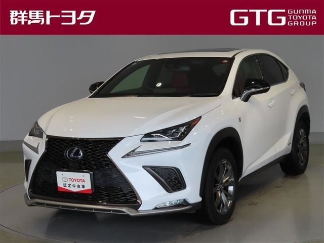 NX 300h Fスポーツ