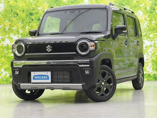 ハスラー タフワイルド 