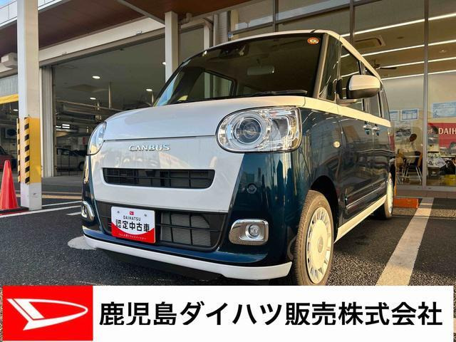 ムーヴキャンバス  ストライプス G