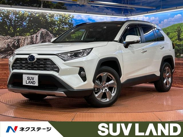 RAV4 2.5 ハイブリッド G E-Four 4WD （6AA-AXAH54）