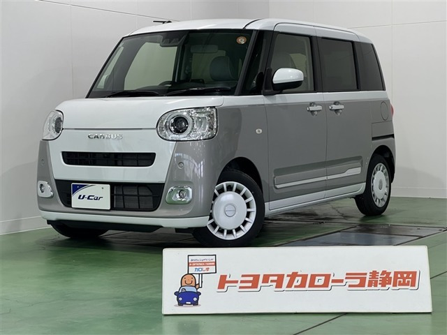 ムーヴキャンバス  ストライプス G