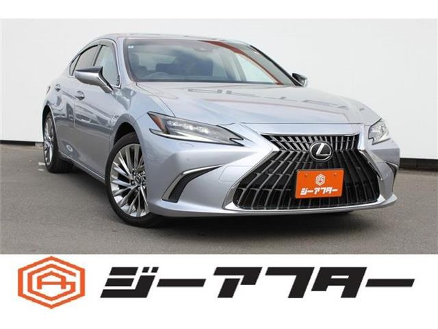 ES 300h バージョンL 禁煙車 グレーレザーシート