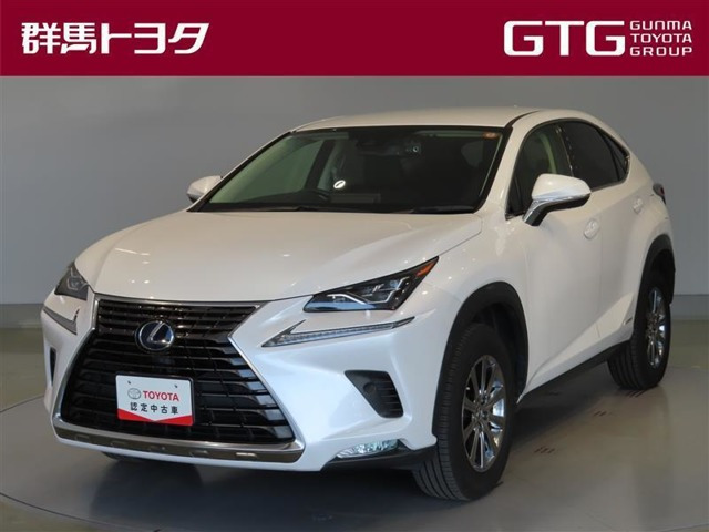 NX300h Iパッケージ 4WD