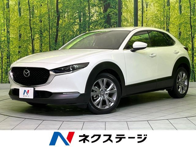 CX-30 2.0 20S プロアクティブ ツーリングセレクション 