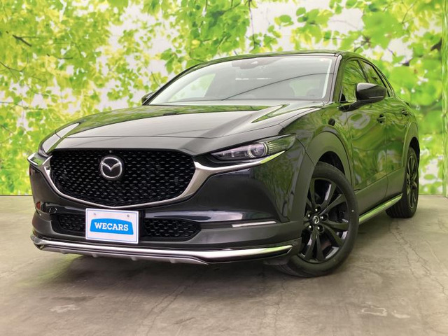 CX-301.8 XD ブラックトーンエディション