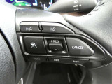 ステアリングスイッチでクルーズコントロール機能の操作ができます。長距離の高速走行時の疲労軽減や燃費に役立ちます。