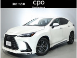 お問い合わせは、048-547-2900まで。