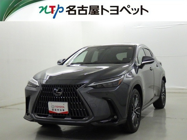 NX 250 バージョンL NX 250 バージョンL