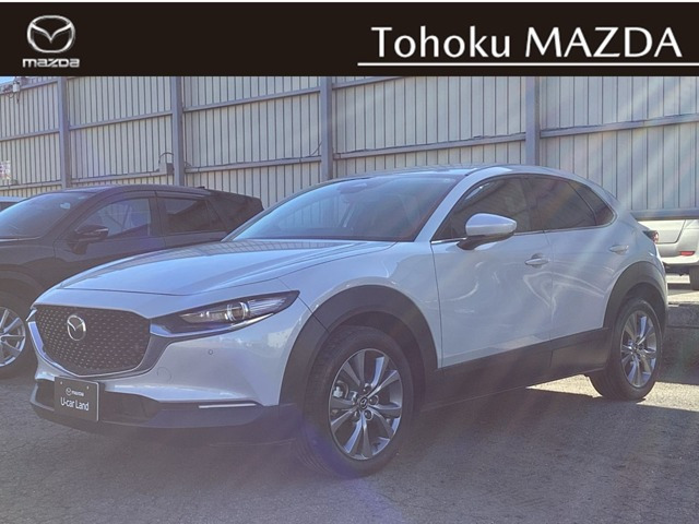 CX-302.0 20S ツーリング 4WD