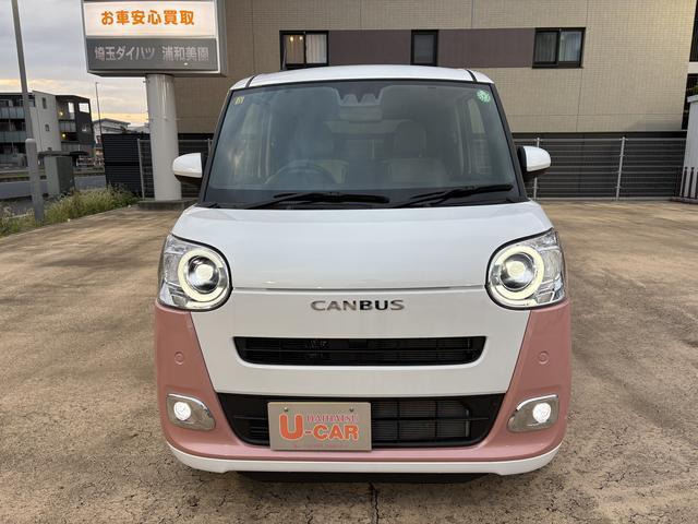 ムーヴキャンバス  ストライプス G