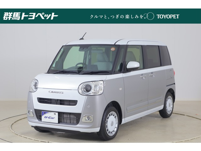 ムーヴキャンバス  ストライプス G