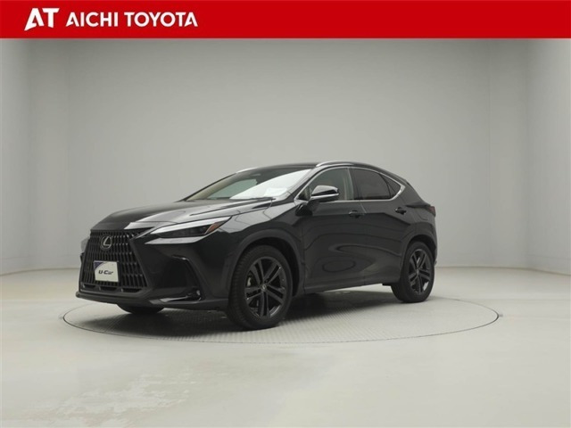 NX 350h バージョンL （6AA-AAZH20）