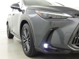 NX 250 バージョンL NX 250 バージョンL