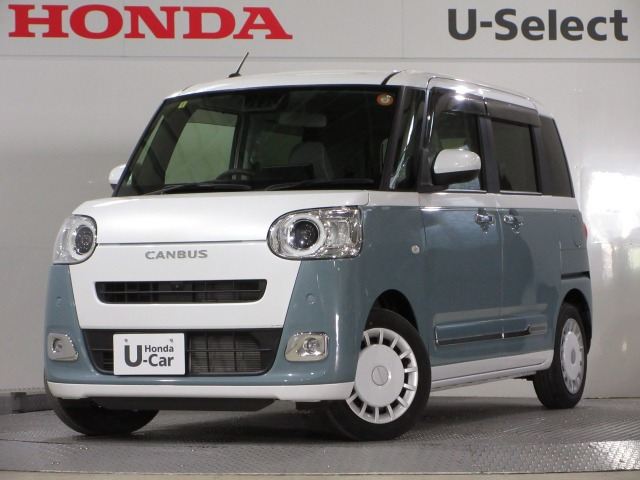 ムーヴキャンバス  ストライプス G