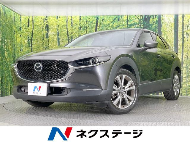CX-301.8 XD プロアクティブ ツーリングセレクション