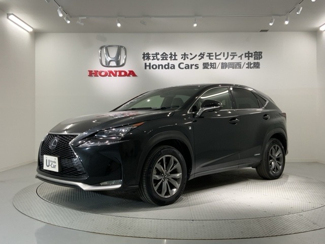 NX 300h Fスポーツ （DAA-AYZ10）