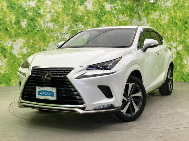 NX300h バージョンL