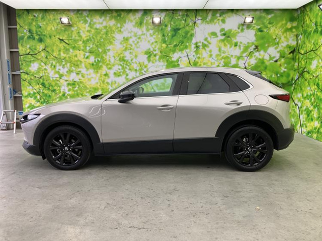 マツダ CX-30 2.0 20S レトロスポーツエディション の中古車詳細